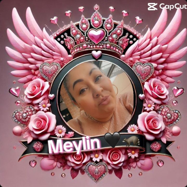 meylin🦝🇸🇻