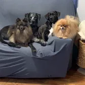 Jodie and friends