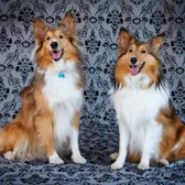 Robbie and Axel