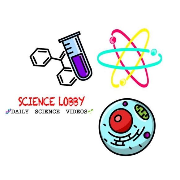 sciencelobby