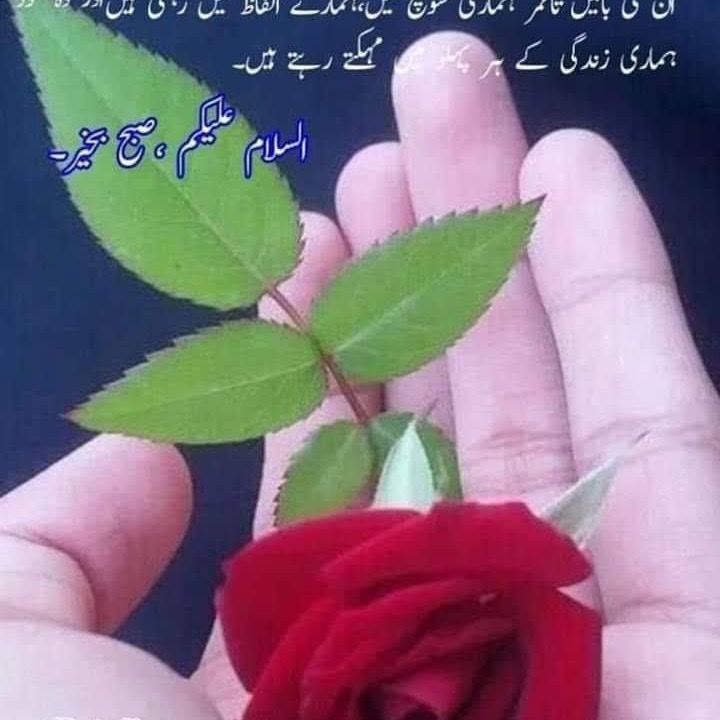 🇺🇸beautifulNazia🇺🇸