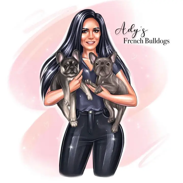 Ady's French Bulldog