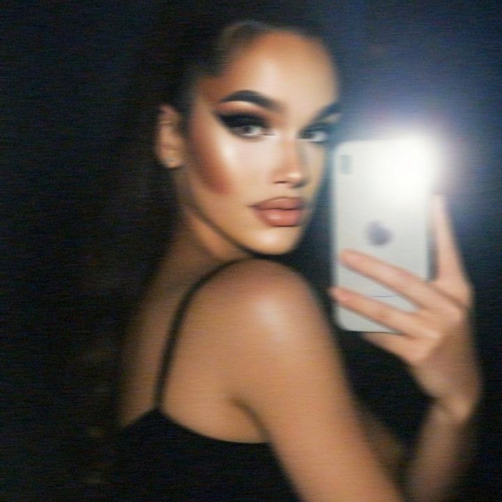 Vv.vixen