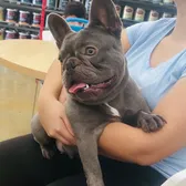 thelainezfamilyy