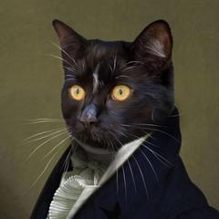 Catsby