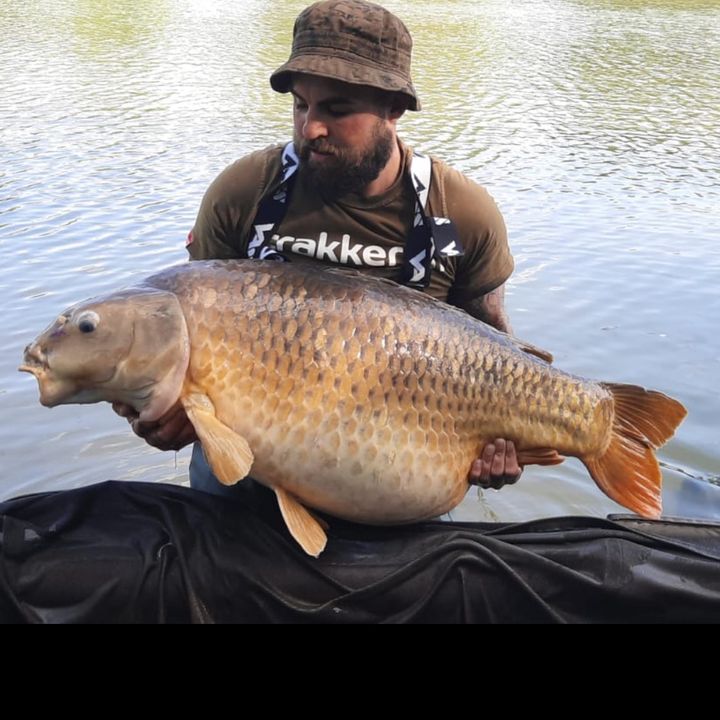 Chris Carp Angler van lifer