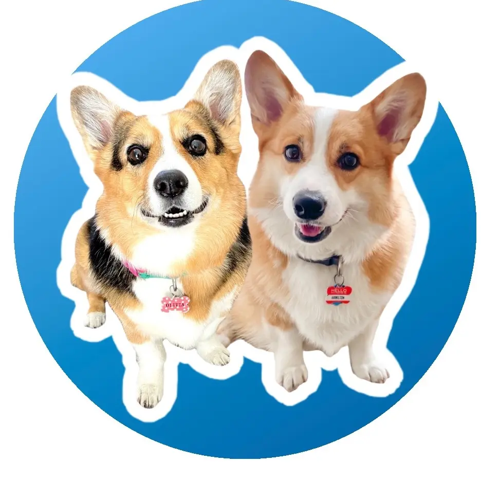 Hammy & Olivia Corgi