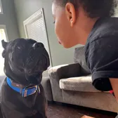 JoJo👦🏽 and Zeus 🐾🐾🐾