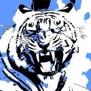 TigerTom