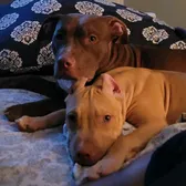 Canela ❤ Jack ❤ Nucky