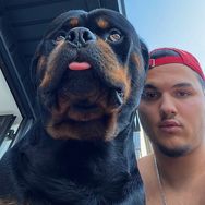 Shpetimcanelo 🐶