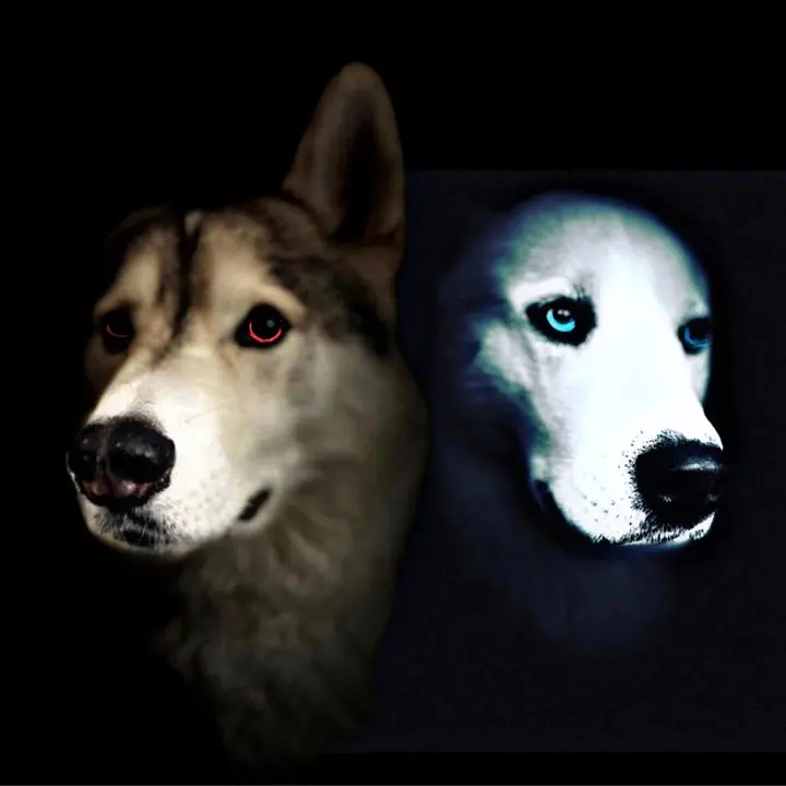 🐺Loki.Dante🐺