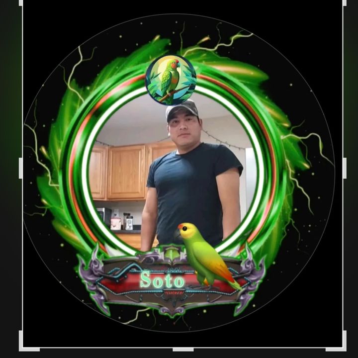 🦜 👑 🦋ADA★🦅