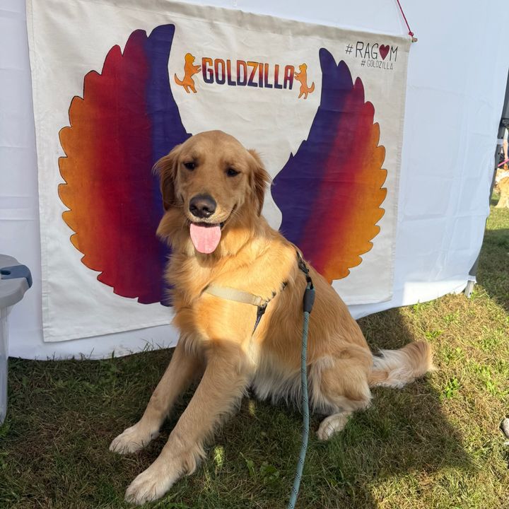 Boomiethegoldie