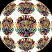 🐆Lady Leppard🐆
