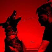 TravelingK9Vet