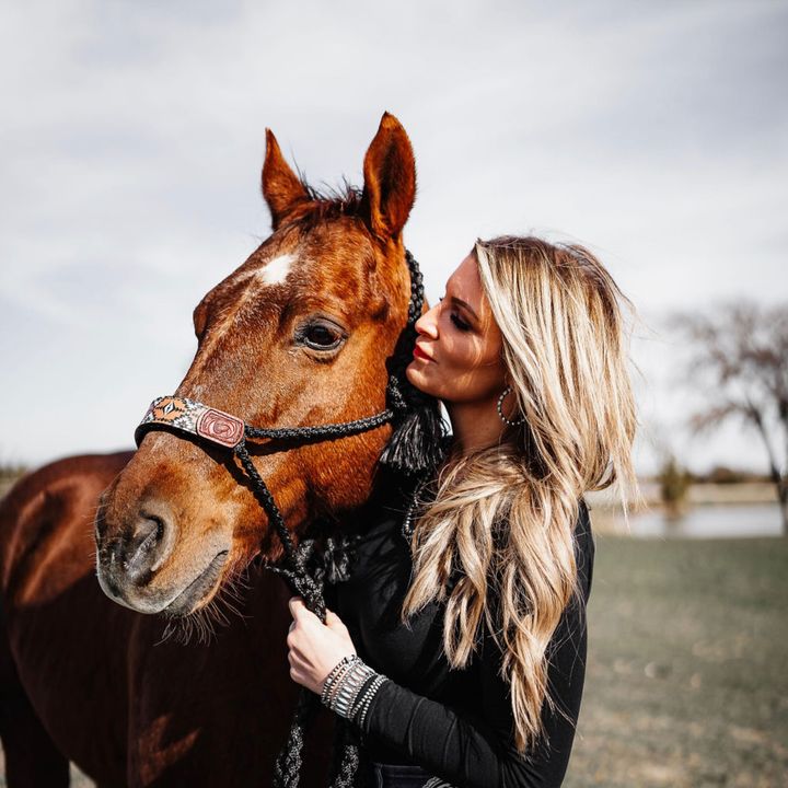 healthcareandhorses