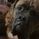 Grandma,Gertie_and_Greta