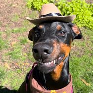 Cowboy
