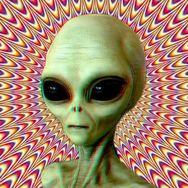 Trippyhub