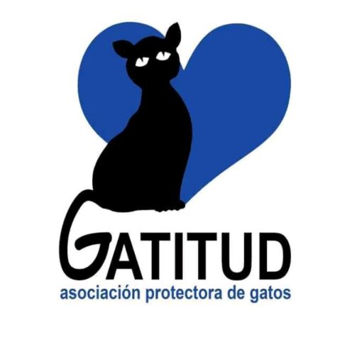 Gatitud