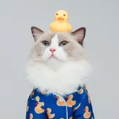 ThatLittlePuffHome