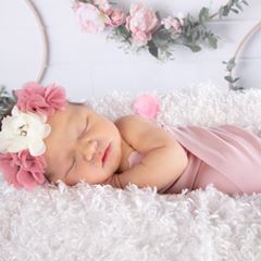 Jolene Shevawn Stitt
