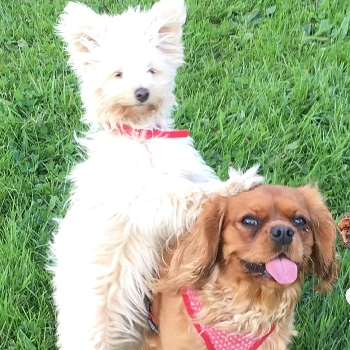 Lily and Betty