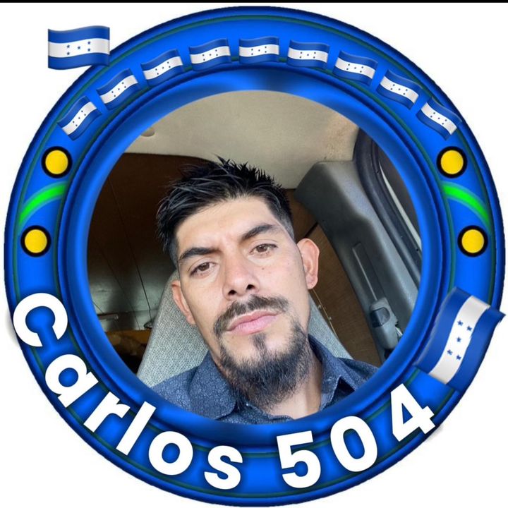 Carlos504