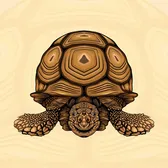 Tortoise Whisperer