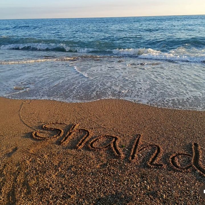 SHAHD| شهَد