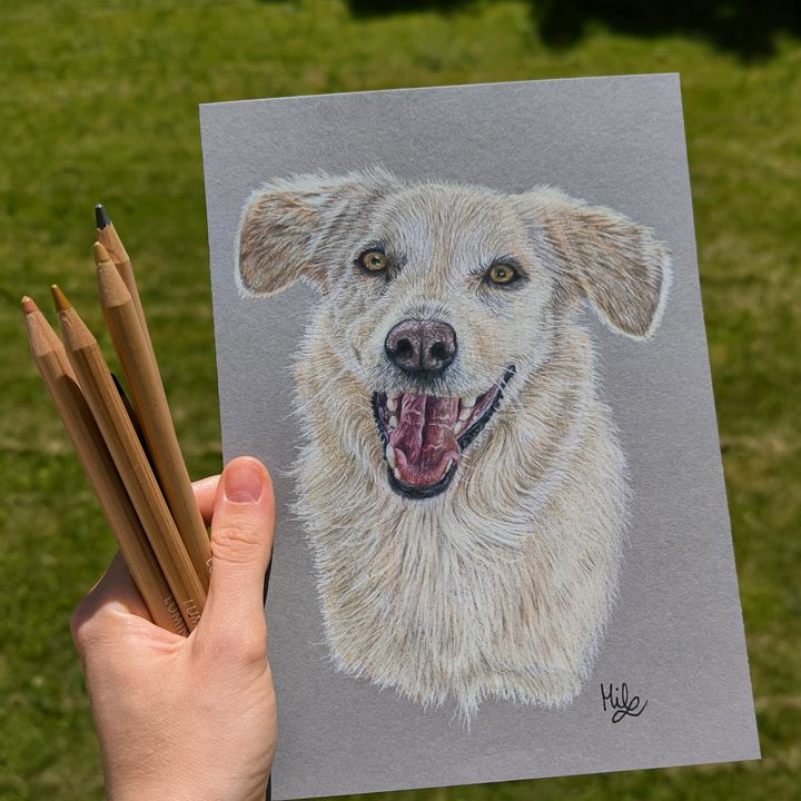 Mila | Auftragsmalerei 🐶🌿
