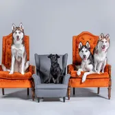 Dallas & Family