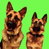 Patriotic_K9
