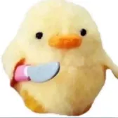duckgang                    🪳