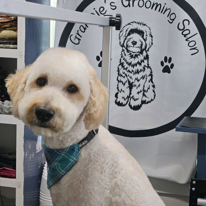 Granniesgrooming
