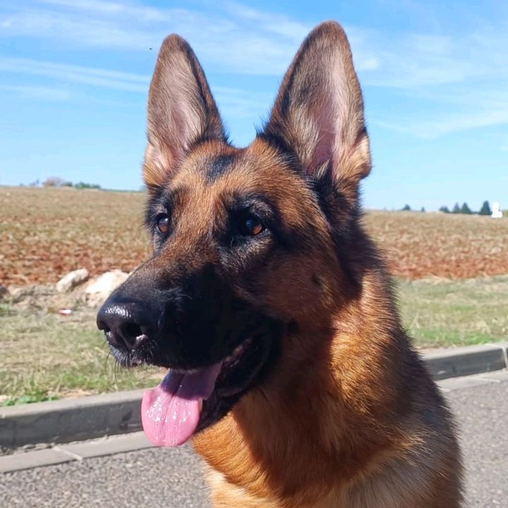 Kira la suavona