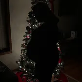 Courtney