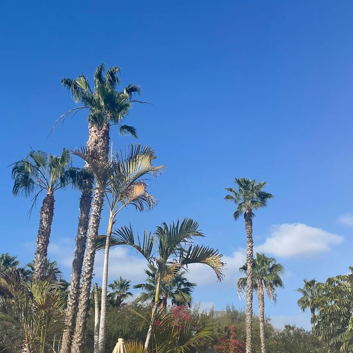 ✰𝐓𝐢𝐥𝐥𝐲✰