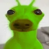 nae nae