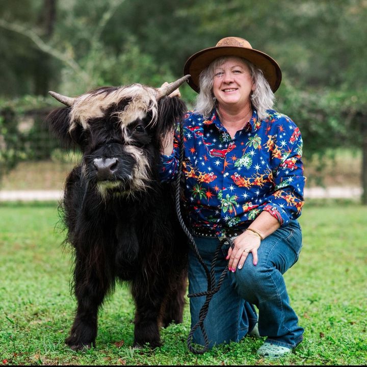 The Salty Heifer Livestock Co.
