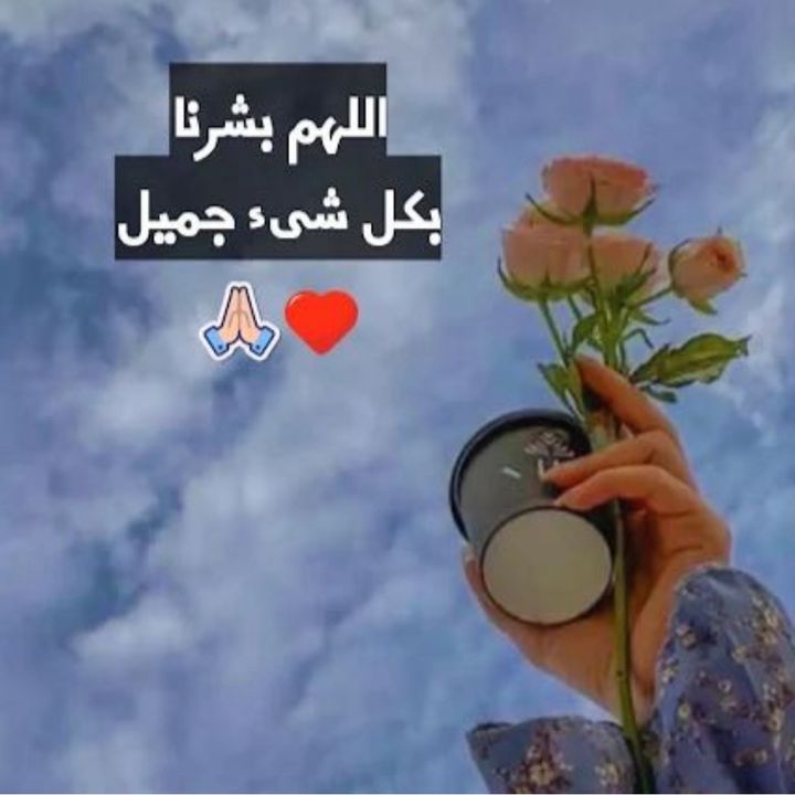 كربلائية