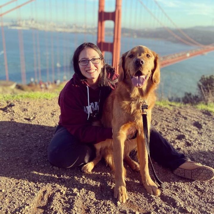 staygolden_teddy.bailey