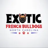 EXOTIC FRENCH BULLDOGS OF NC