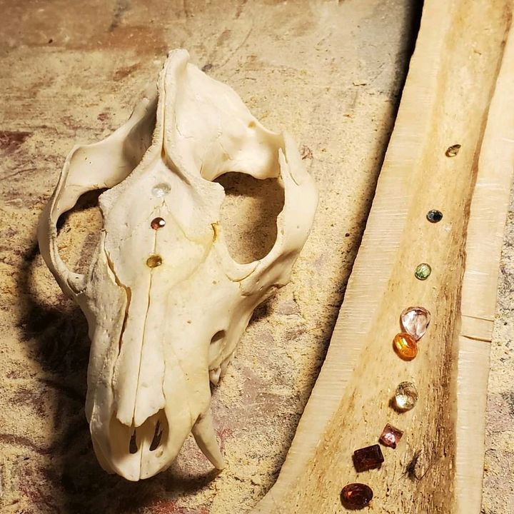 These Old Bonez