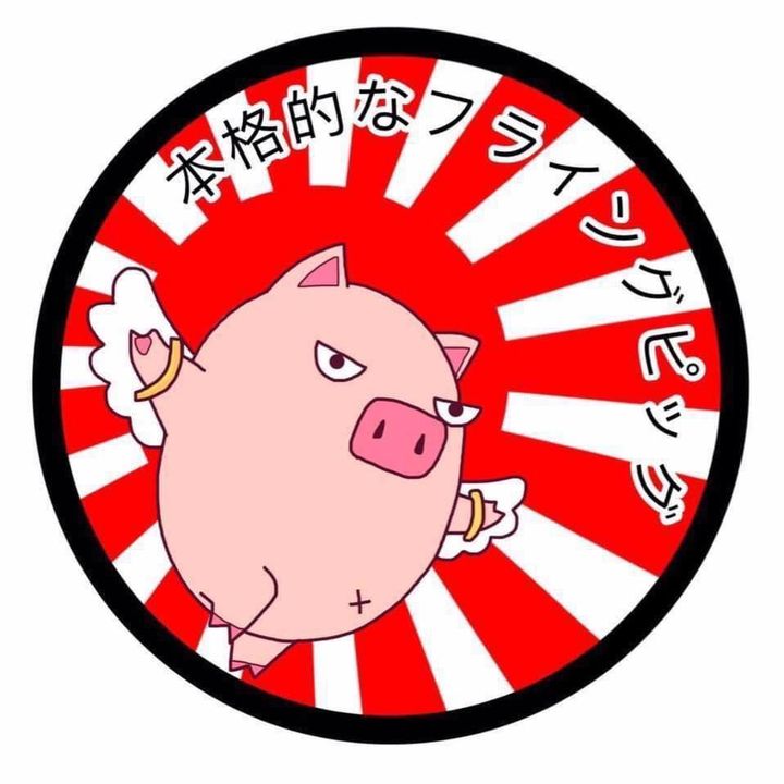 หมูบิน สตั๊ดมือ 2 แท้100%