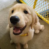 Winnie