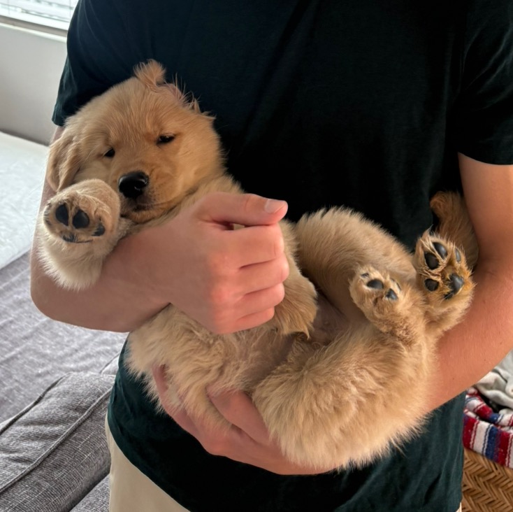 donaldthegolden