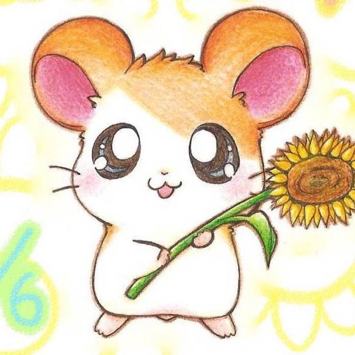 hamster_fight