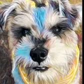 Finnegan